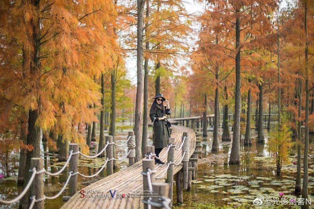 我出轨后老婆突然放手了?-专业的问答类网站